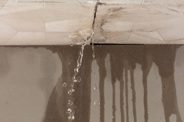 Professional Structural Drying technician working in Mabel, MN